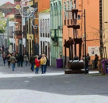 La Trinidad 公寓 拉拉古纳