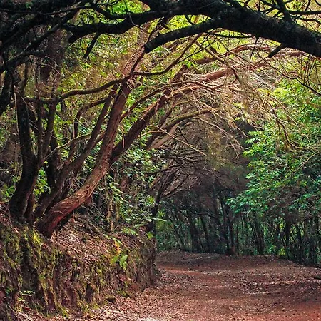 公寓 La Trinidad 拉拉古纳